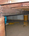 Mold and rot thriving in a dirt floor crawl space in Glenview
