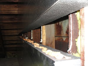 An effective attic insulation system in a Glencoe home