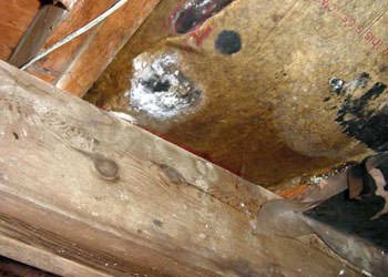 home mold removal in Barrington
