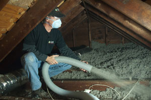 Cellulose Insulation in Buffalo Grove, IL home