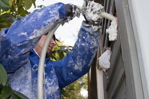 Injection foam in Arlington Heights, IL home