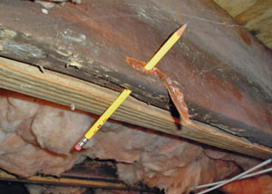 Destroyed crawl space structural wood in Wheeling